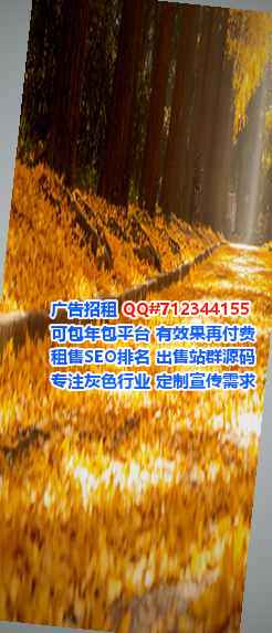德昌代母财务咨询经营部
